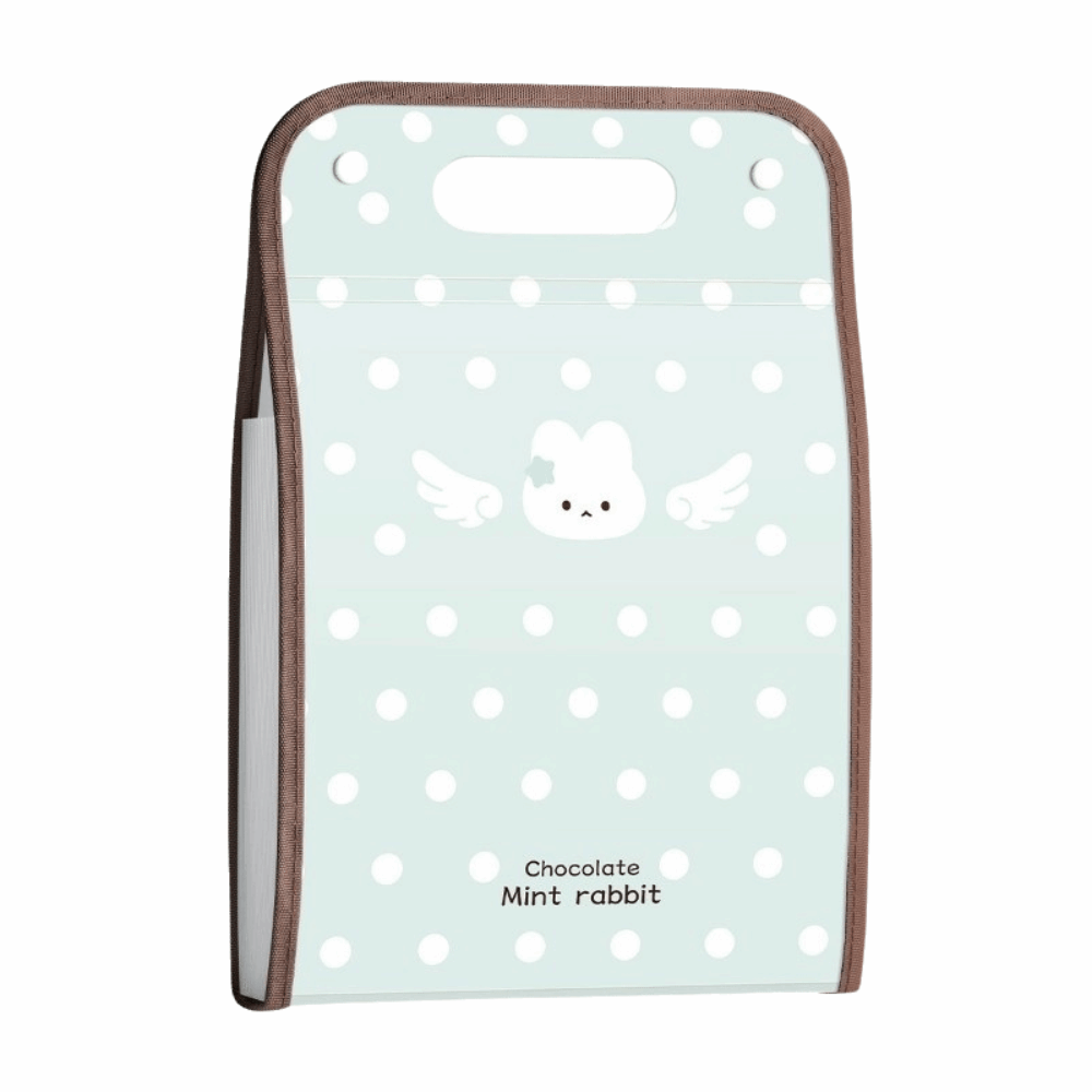 Expandable Accordion File Folder 13 Pockets - Classeur à pochettes extensibles Polka Point,